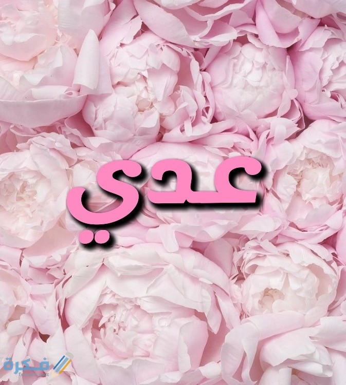 معنى اسم عدي Oday وشخصيته وحكم التسمية في الاسلام 1 IMG ٢٠٢٠٠٧١٧ ٠٢٢٦٠٦