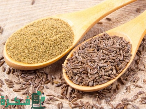 أسماء أنواع الكمون بالصور 1 أنواع الكمون
